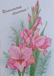 �����������